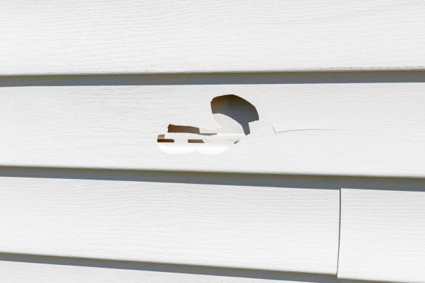 How To Choose The Right Materials for Your Siding Installation in 'Holiday Valley, OH